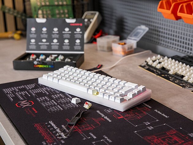 CHERRY MX EXPERIENCE BOX | 10 Mechanical Switches - Cherry