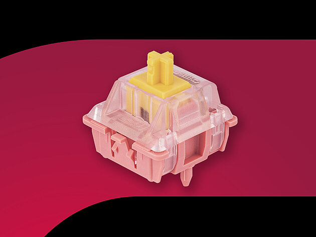 MX BLOSSOM Switch