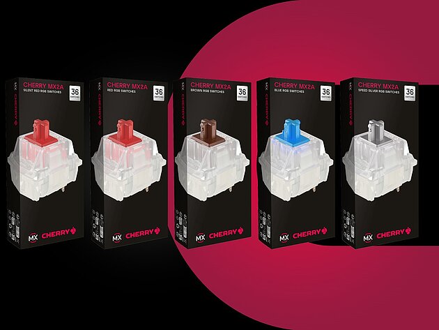 CHERRY MX EXPERIENCE BOX | 10 Mechanical Switches - Cherry