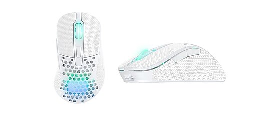 CHERRY XTRFY Lizard Skin M4 이미지 6