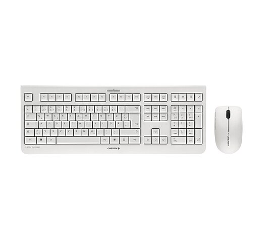 CHERRY DW 3000 이미지 2